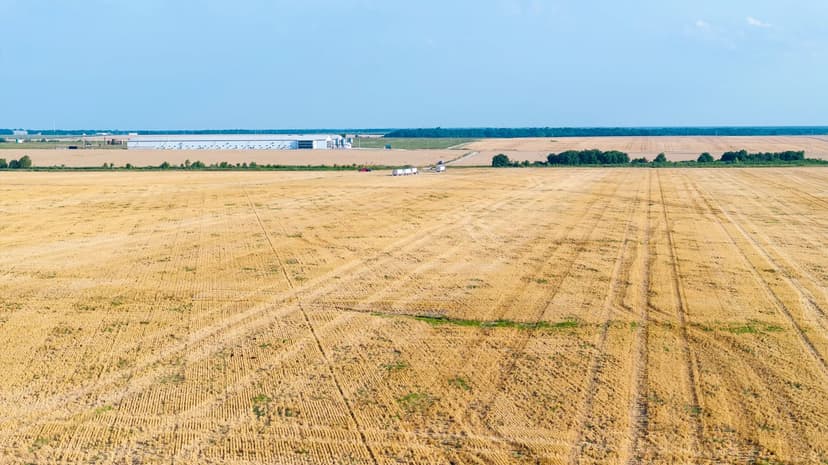 Investment-Grade Row Crop Farm in Red River County TX