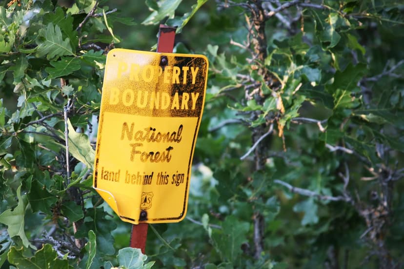 Elk Trail Retreat | Devils Tower, Crook County, Wyoming