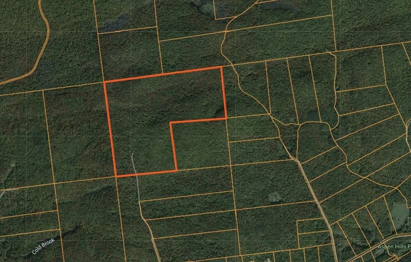 150 acres Remote Hunting Land Salisbury NY