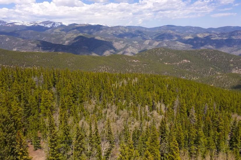 Trail Creek Area Mining Claims