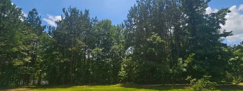 Beautiful View at Big Bay lake