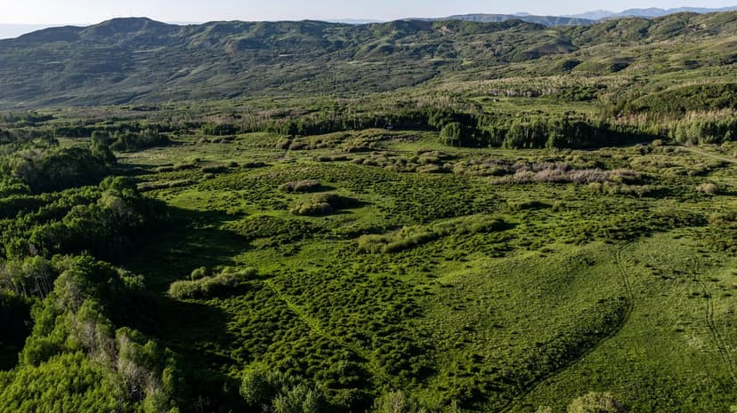 782-Acre Buckhorn Lakes Ranch - Unbelievable Mountain Hunting in Montrose, CO