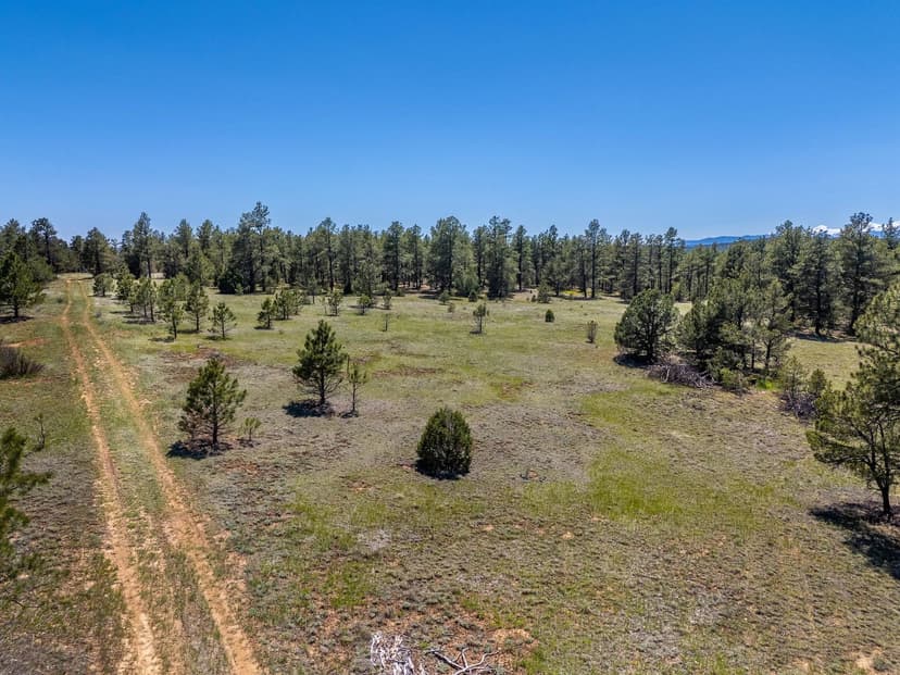 13583 Meadow Lark Drive 7/205, Weston, CO 81091