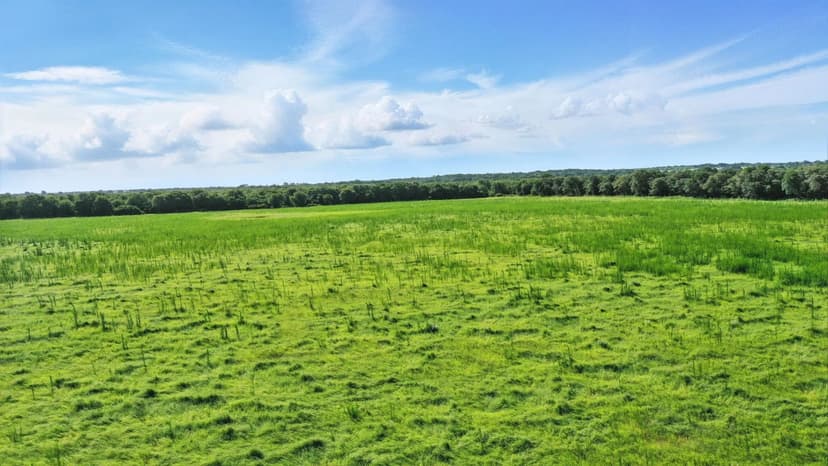 117.25 Acres 246 CR 560 Rising Star, TX 76471