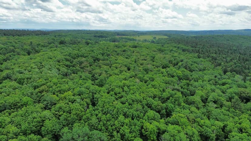 150 acres Hunting Land and Recreational Land bordering State Forest in Oxford NY Gospel Hill Rd