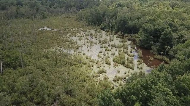 Wilson Creek South Tract