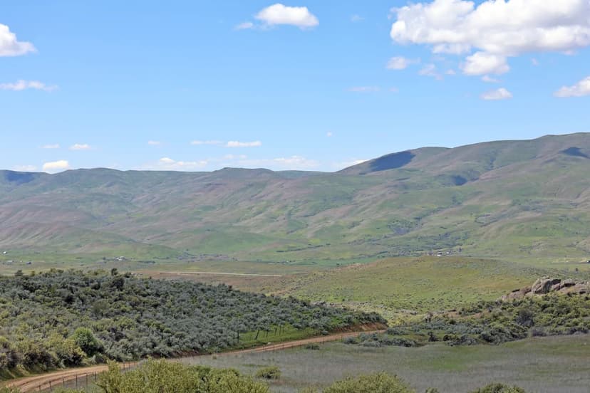 Ola View Ranch