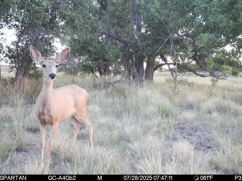 Prime Cropland & Recreational Opportunities on Coyote Creek