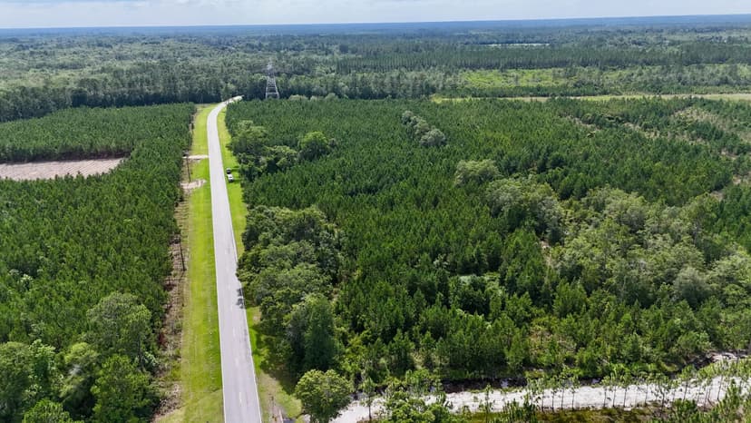 Trudie Road Retreat – Timber, Pecan Trees & Hunting in Pierce County