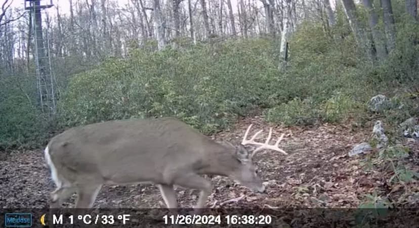 Lincoln Highway, Somerset County - 20 +/- Acres