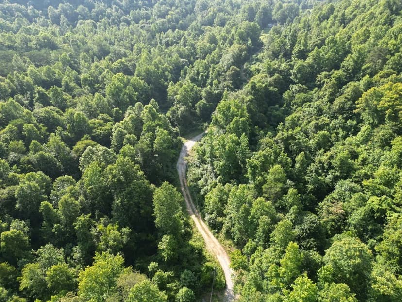 Sawmill Hollow 220 +/-