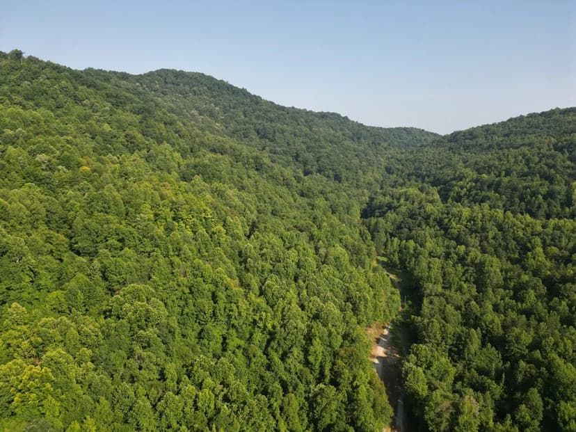 Sawmill Hollow 200 +/-