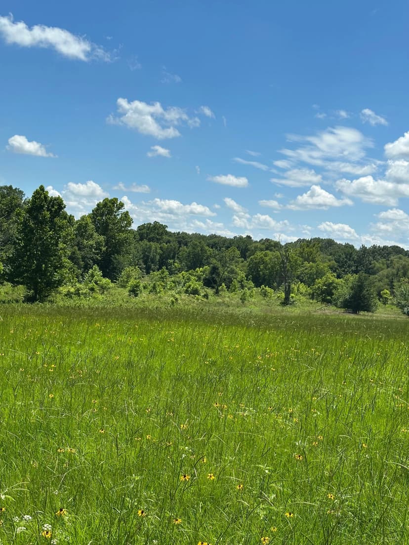 001 E 2080 Bennington