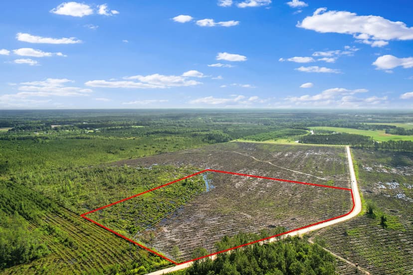 Morris Break Pines – 30 Acres of Seclusion in Wayne County, GA