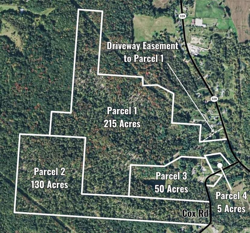 Cox Rd Auction 400 acres