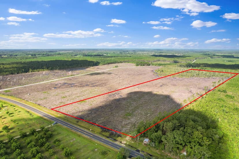 Highway 169 Pines – 37 Acres of Country Living in Wayne County, GA