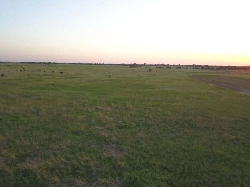 DPS Upland Reserve-480