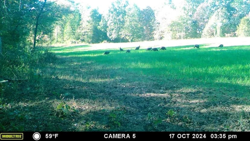 Four Springs Farm: Turn-Key Trophy Hunting Retreat in Giles County