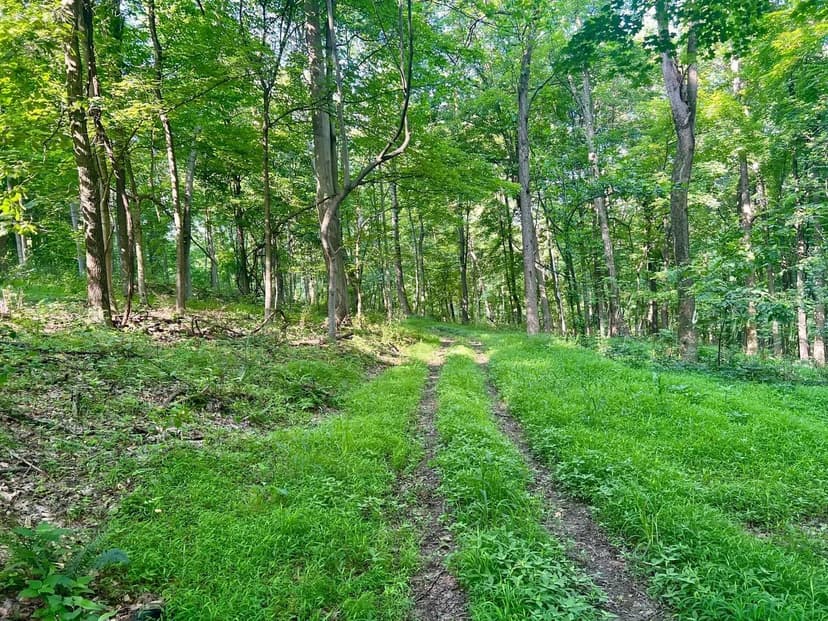 Security Dr., Washington County - 42 acres