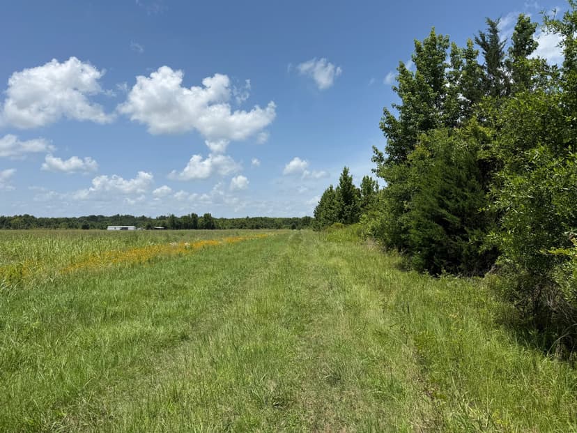 LA - Richland 93 acres +/-