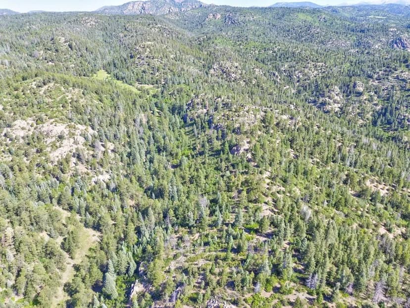 21691 County Road 67