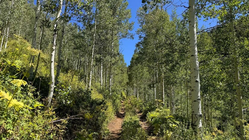 Possum Creek Retreat