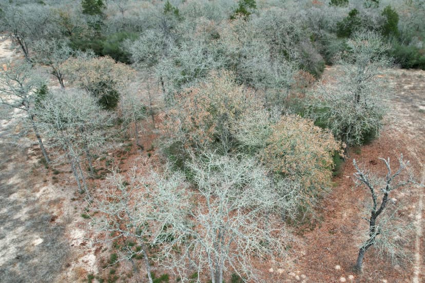 475 Cherokee Trail, Lovelady, Tx 75851