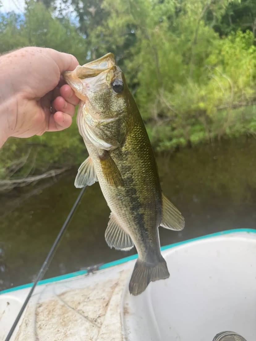 The Jefferson County 69