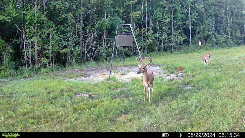 47 acres- Ozark, AL Investment Land