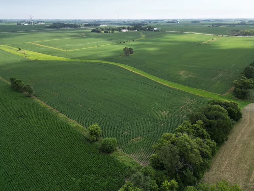 Bremer County 219.43 +/- Acres 