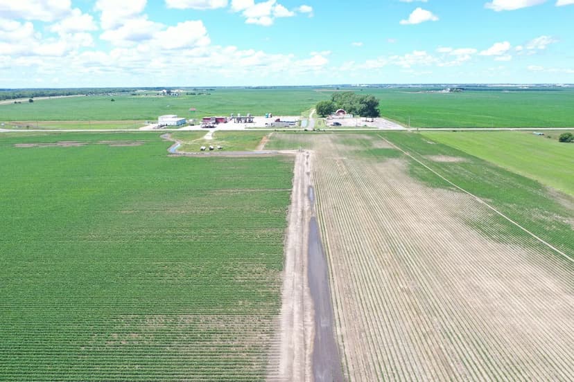 84.18 +/- Acres of Farmland in Buffalo County, NE 