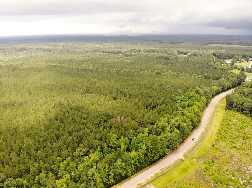 Ridge Road Lot 8 - 41 acres