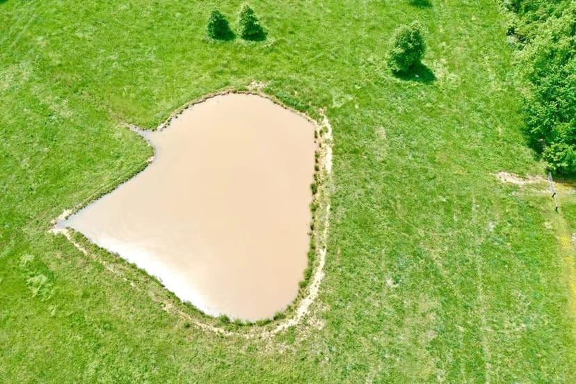 44 Acre Dream Property minutes from Paris, Tennessee