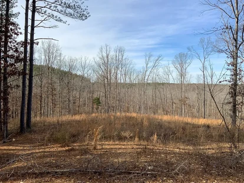 Beautiful 15 Acre Tract in Humphreys County. OWNER FINANCING AVAILABLE!!!