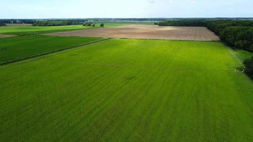 152 acres +/- Prime farmland in Butler County, MO