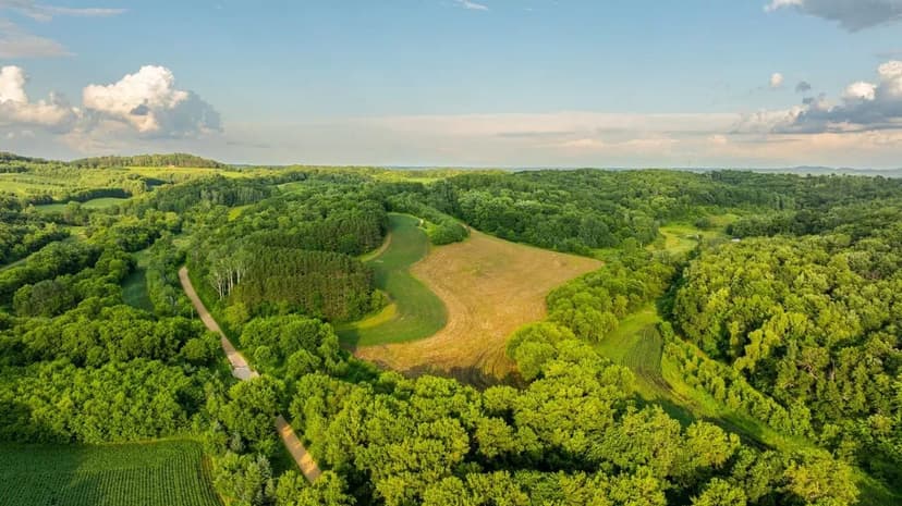Premier 40-Acre Whitetail Retreat in Legendary Buffalo County