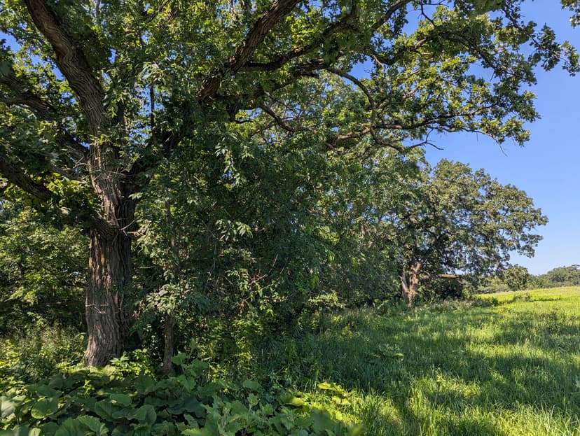 10.5± Ac State Highway 44, Mabel MN