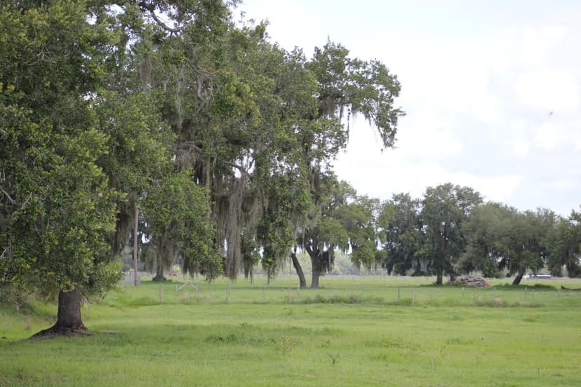 44 Acre Ranch in Beautiful Grand Oaks