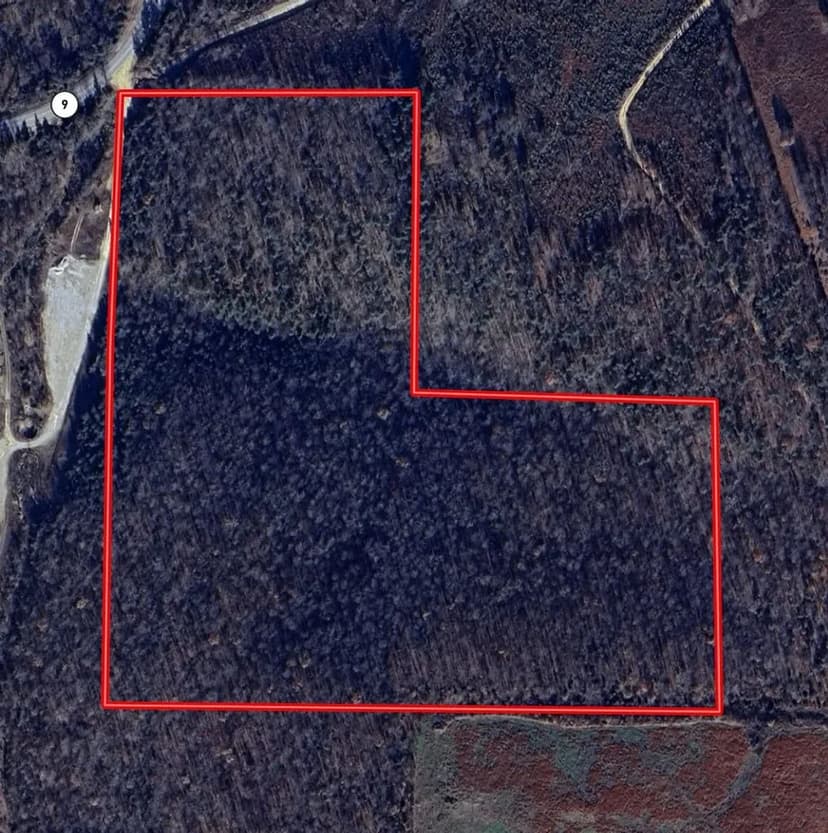 30+/- Acres, Hunting Property, Wooded, Stone County, Mountain View, Arkansas