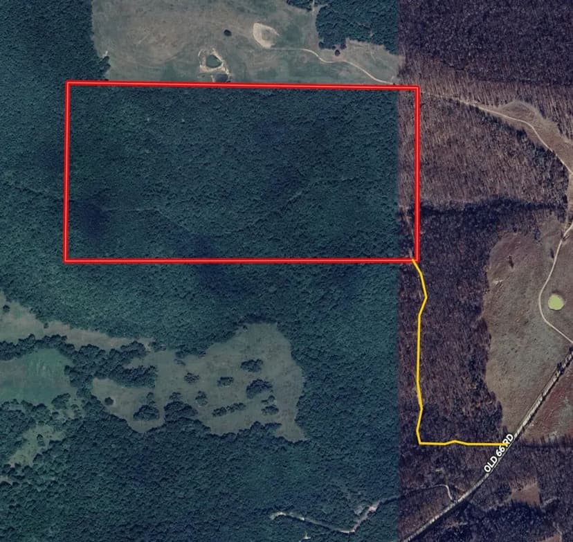 80 +/- Acres, Hunting Property, Wooded, Leslie, Arkansas, Stone County