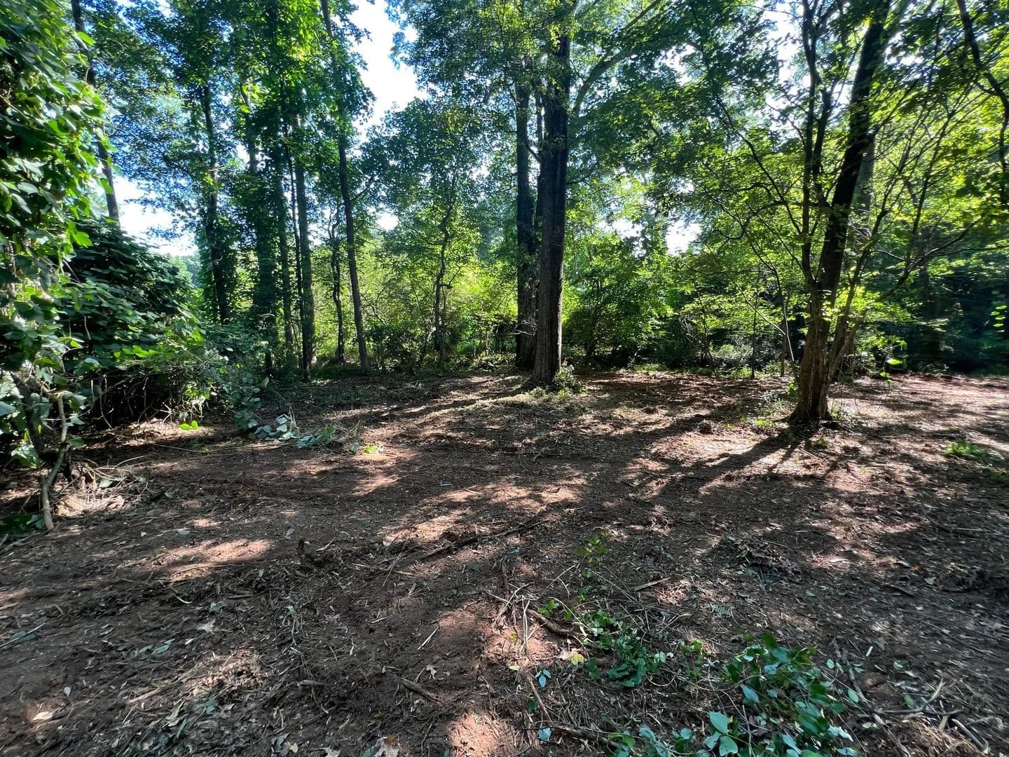 48-Acre Suburban Sanctuary - Stockbridge, Georgia, 30281