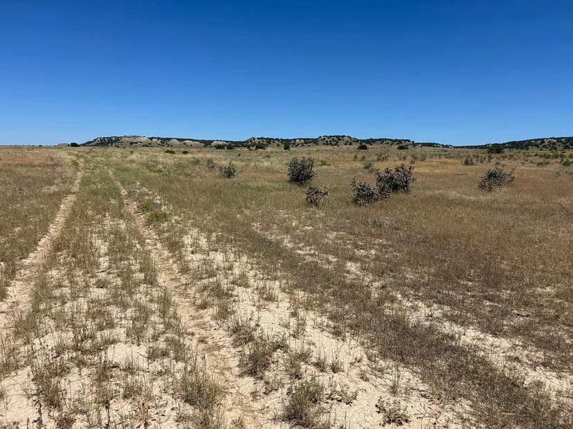 lot 4 Outback Ranch, Model, CO 81059
