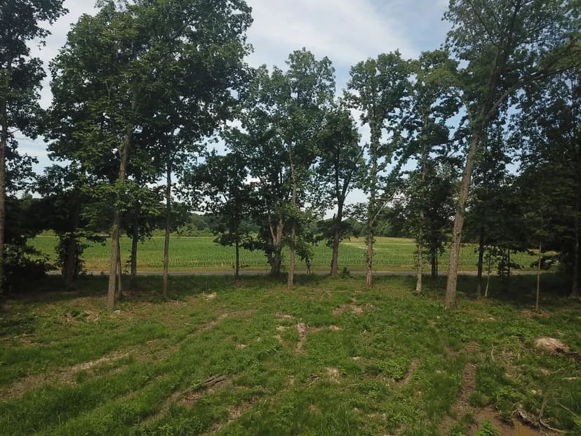 000 Beard Rd Xenia IL 62899