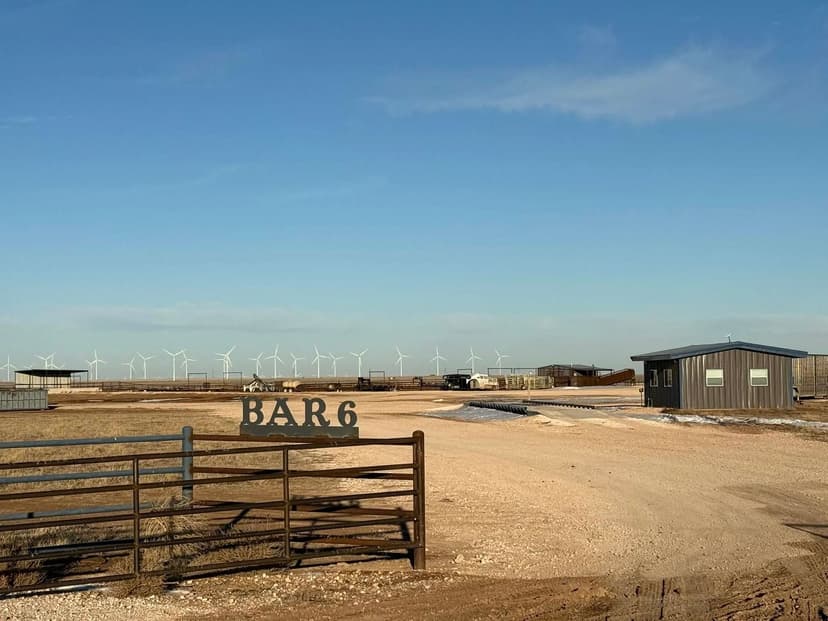 Bar 6 Feedyard