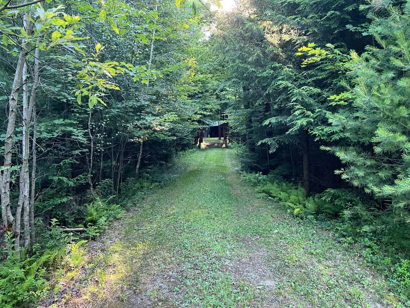 13 acres Hunting Land with Log Cabin Pitcairn NY