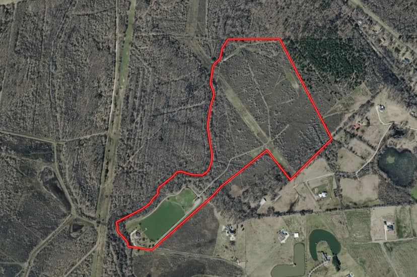 LA - Ouachita 81 acres +/-