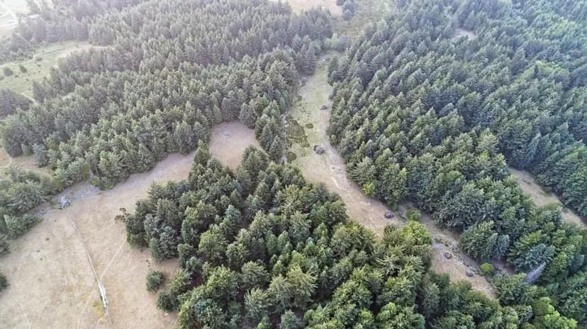 Langlois Beautiful Property