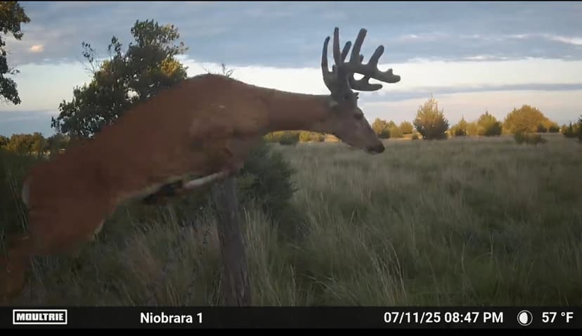 Niobrara River Frontage
