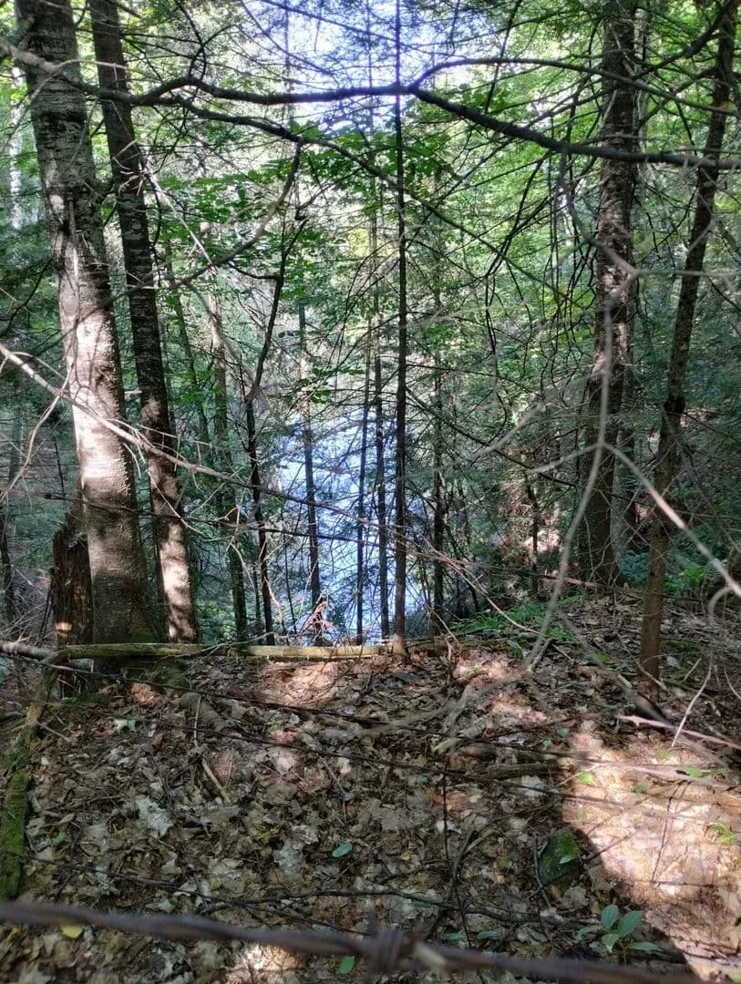 Michigan Gem 32+ Acres 50119851