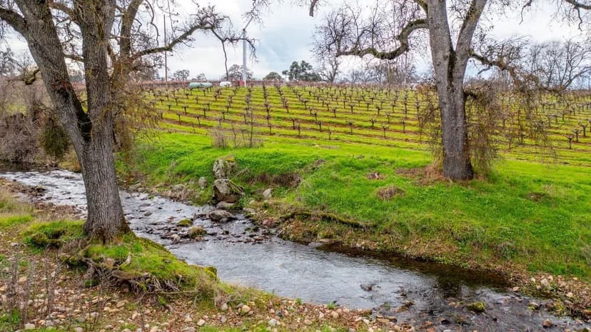 Hidden Creek Vineyard